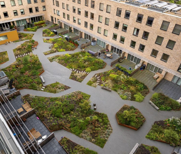 Te huur: Appartement Anthony Roodvoetsstraat 91 in Haarlem - Photo 1