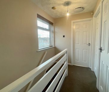 Daisy Hill Avenue - Photo 4