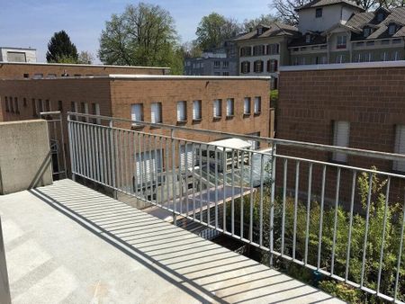 Search. Find. Live! - Foto 3