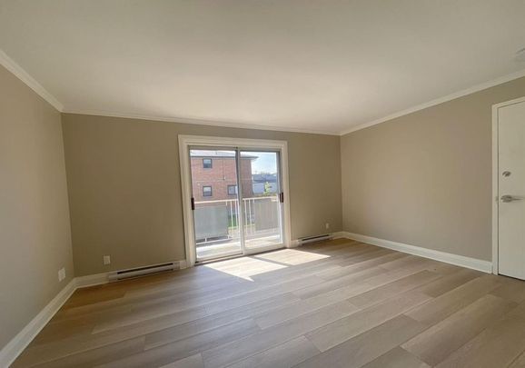 For Lease - 15 John Street Unit# 5, St. Catharines, Ontario - Photo 1