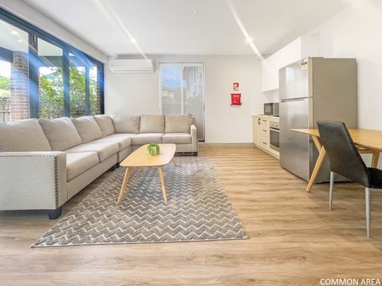 104/38 Rangers Road, Cremorne NSW 2090 - Studio For Rent | Domain - Photo 1