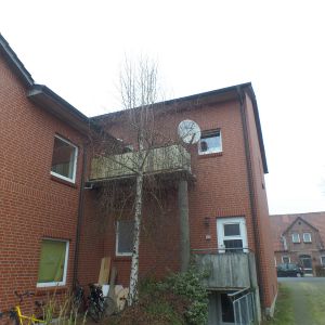 neu renovierte , gemütliche , große DG Wohnung in gepflegtem Haus - Photo 3