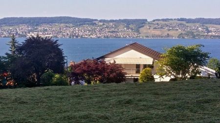 MAISON DE 4 PIÈCES À WÄDENSWIL (ZH), MEUBLÉE, TEMPORAIRE - Photo 5