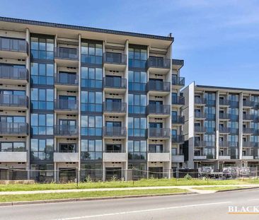 Brand New Two Bedroom Apartment - Photo 1