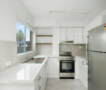 Stylish Dual-Level Living in the Heart of The Junction - Photo 5