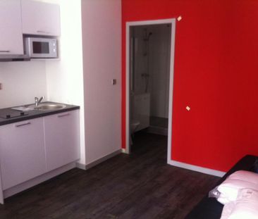 Location Appartement 1 pièce 22m² ECULLY 69130 - Photo 4