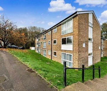 Tattershall Drive, Hemel Hempstead, Hertfordshire, HP2 - Photo 5