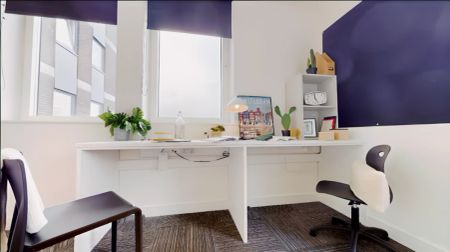 Gold Studio Premium - Photo 2