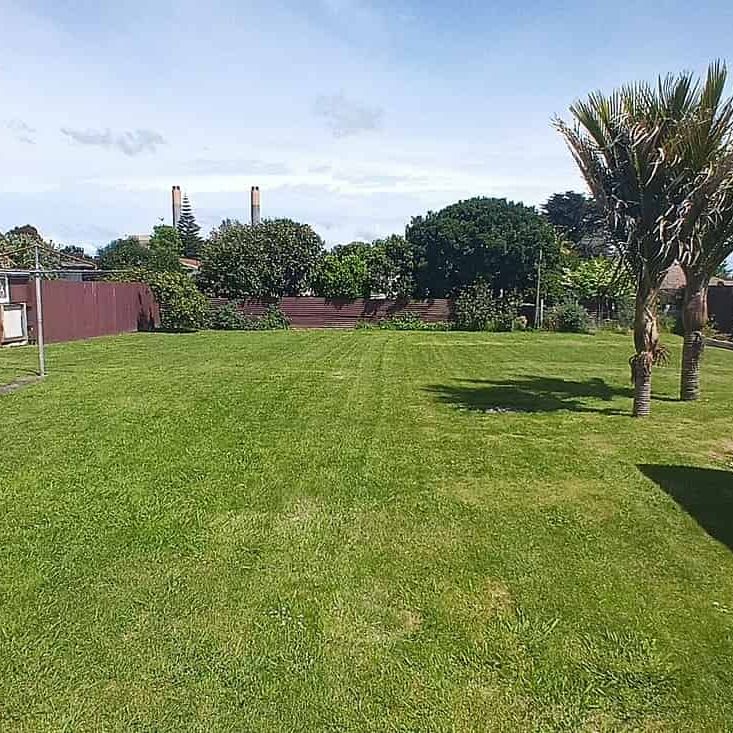 Quiet, Comfortable Renovated 3-Bedroom Home - Photo 1