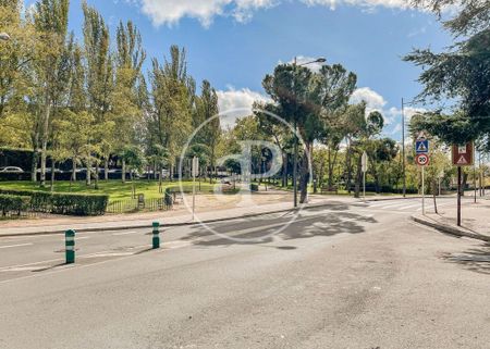 Majadahonda, Community of Madrid 28221 - Photo 5