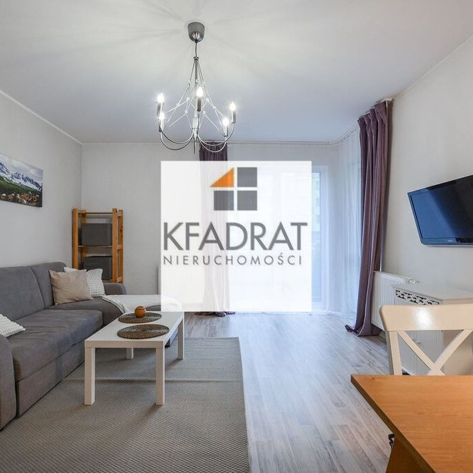 Mieszkanie z ogródkiem na wynajem! Gumieńce - Zdjęcie 1