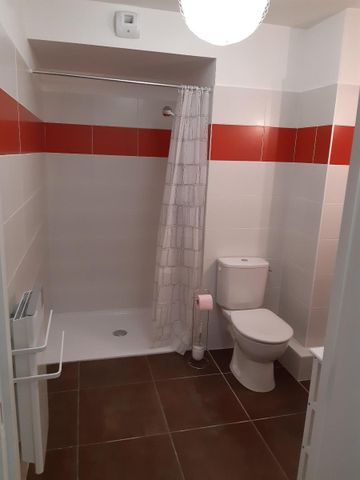 Location Appartement 1 pièce 27m² ALBI 81000 - Photo 5