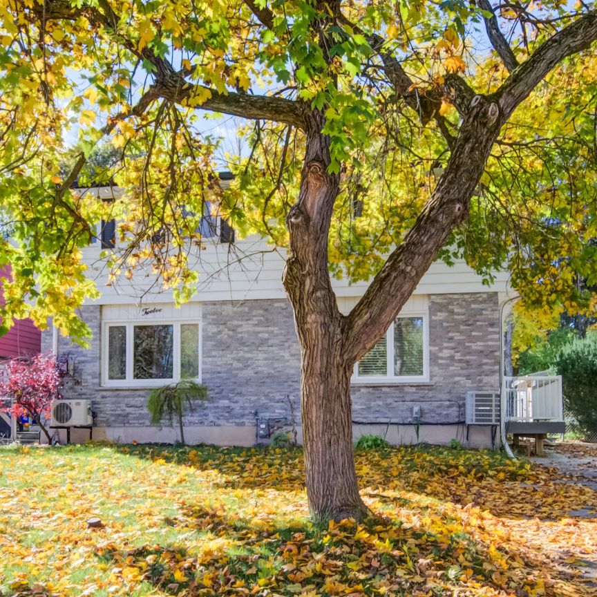 For Lease - 10 Innes Place, Woodstock, Ontario - Photo 1