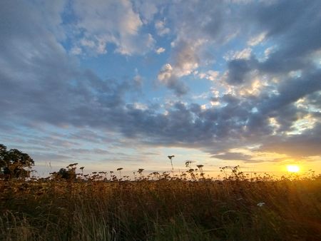 Glemmingevägen, Glemmingebro - Foto 5