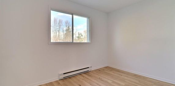 4 ½ à Saint-Jacques entièrement rénové - disponible dès maintenant - Photo 2