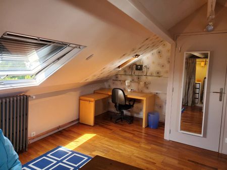 colocation de 3 chambres - Photo 3