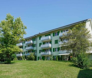 Votre nouvelle maison à Olten - Photo 2