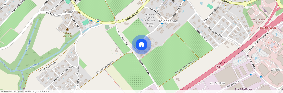 Route de la Gare 11, 1131 TOLOCHENAZ