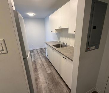 565 Rue De Pointe Gatineau (Gatineau) Magnifique Logement 3 1/2 à L... - Photo 3