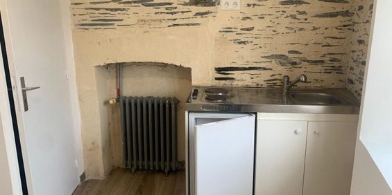 Appartement à louer, 1 pièce - Angers 49100 - Photo 3