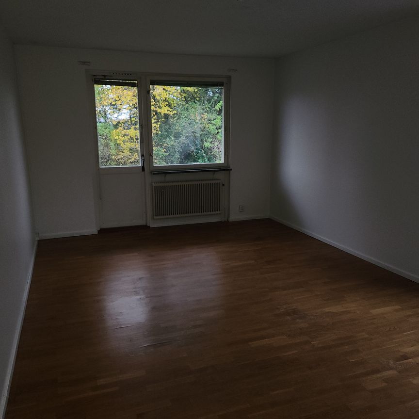 Vileborgsvägen, Fornåsa - Foto 1