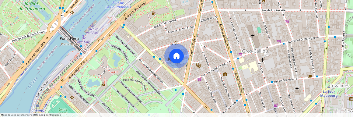 Rue du Général Camou, 75007, Paris