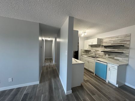 Modern and Spacious 2-Bedroom Apartment - SMALL PET FRIENDLY! - Photo 3