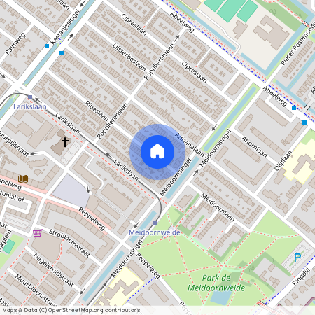 Schiebroek, 3053 MN, Ribeslaan, Rotterdam