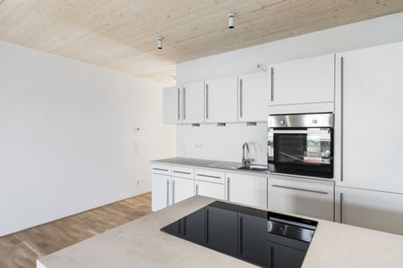 Holz-Hybridbau | Garten | Balkon - Foto 3