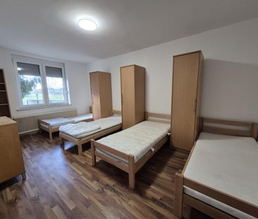 Zwei-Familienhaus am Mühlgang – Feldkirchen bei Graz - Miete - Photo 4