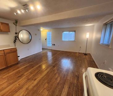 1 Bedroom + Den Basement Suite (South Hillside Mall Area) - Nov 1 - Photo 1