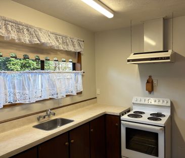 2/4 Payling Lane, Mairehau - Photo 1