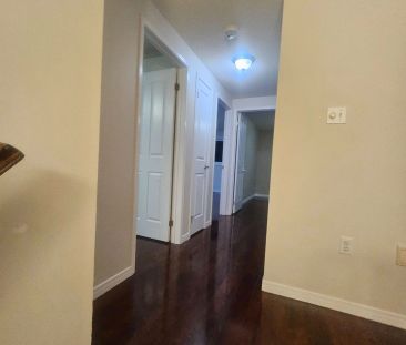 11 Finlay Road #Main - Photo 4