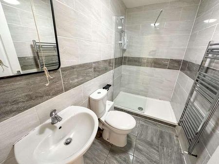 Albert Edward Road, L7 - Photo 4