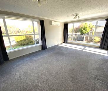 22 Carruthers Street, Ilam, NZ 8053 - Photo 4