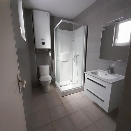 Location Appartement 2 pièces 47m² BRIOUDE 43100 - Photo 3