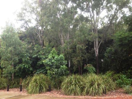 Spacious Family Home in Prime Location - 26 Duranbah Road, Blacks Beach - Photo 5