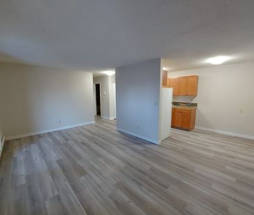 1 Bedroom Unit in Mature Area of Downtown! - Photo 4