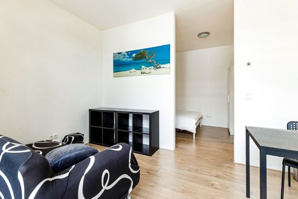 Van der Hoopstraat | Two Living Rooms | Two Bedrooms - Photo 1