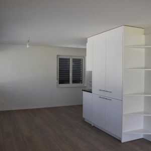MASSONGEX - APPARTEMENT - Photo 2