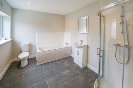 Queens Gardens, Chichester - Photo 4