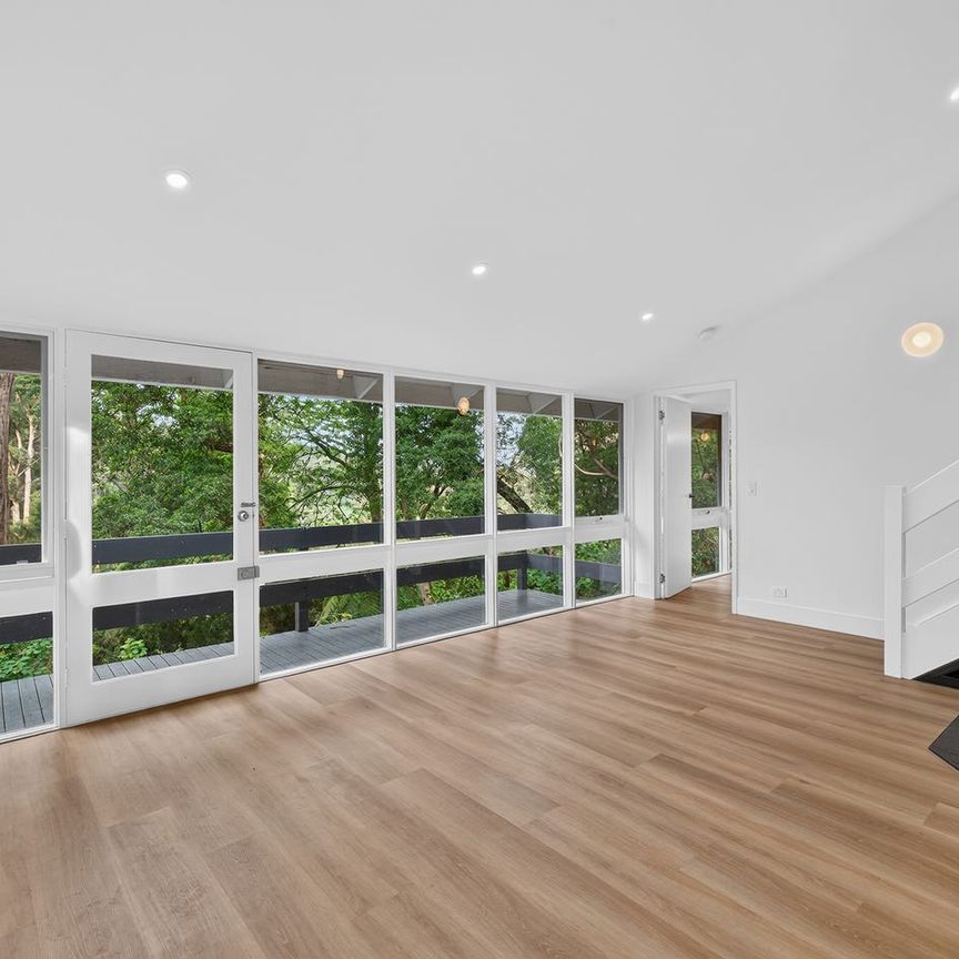 Renovated Hills Retreat with Treetop Views - Photo 1