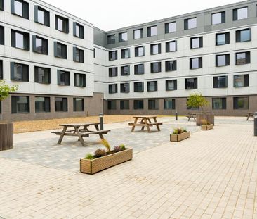 1 bedroom private hall to rent - Photo 5