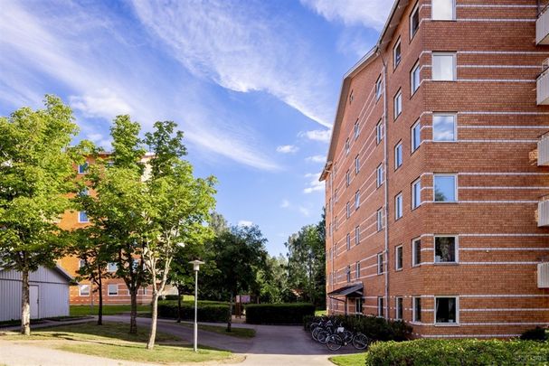 Plogvägen 107 - Photo 1