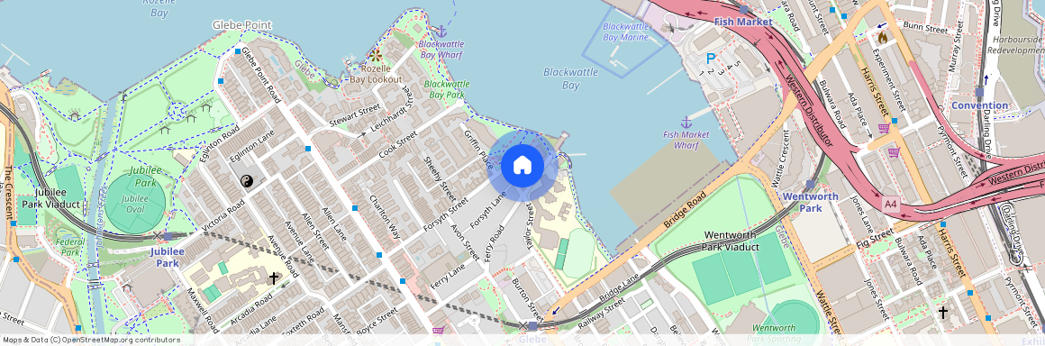 1/105 Ferry Rd, NSW 2037, Glebe