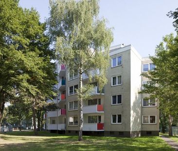 Frisch sanierte 2 Zimmer-Wohnung - Foto 1