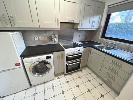 13 Malone Manor, Malone, Belfast, BT9 6SR - Photo 4