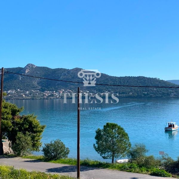 Παραθαλάσσια κατοικία προς ενοικίαση στην Σαλαμίνα - Photo 1
