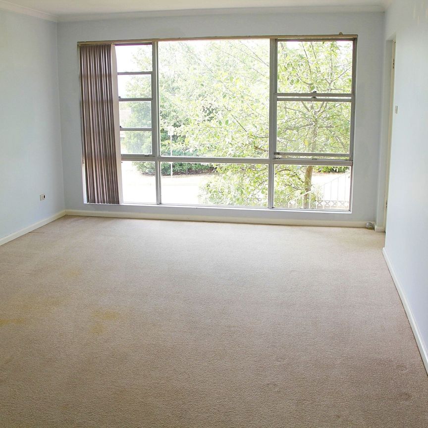 27 Haines Street, Curtin ACT 2605 - House For Rent | Domain - Photo 1