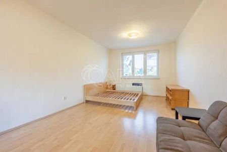 Příjemný byt 1+1 v ul. Za Zelenou Liškou. - Fotografie 4